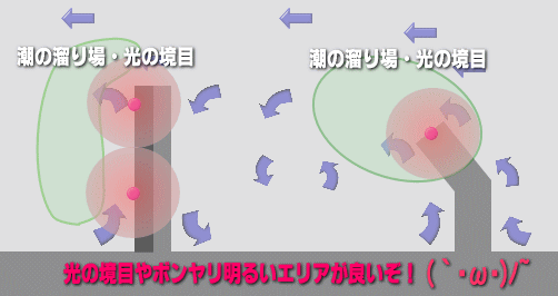 夜のアジ釣り!ナイト、アジングの釣り場の説明。