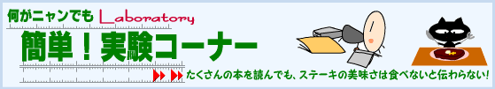 �ދ�̓����A�l�C�ދ�A���A�[�̃����L���O�B����ʁE�l�i�ʂɃC���C���ȃA���P�[�g�����{���B�A���O���[�K���ł���
