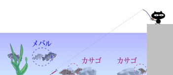 根魚、ロックフィッシュの水深ポイント