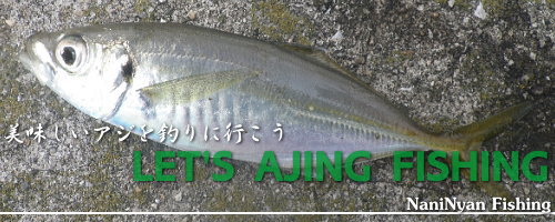 アジのルアー釣り、アジングの説明