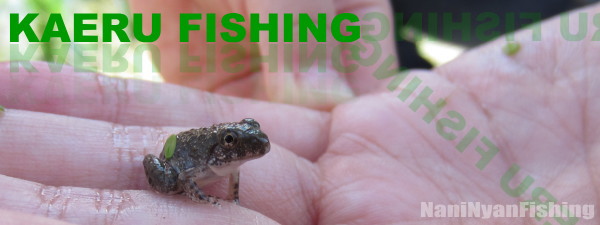 蛙釣りは草製自然竿と草製虫型疑似餌で！！