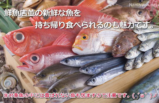 鮮魚の写真