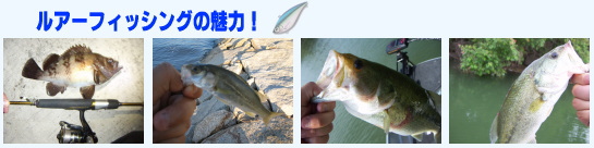 ルアーで魚を釣るルアーフィッシング！　ルアーフィッシングの魅力を説明。