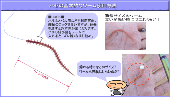 ハゼのルアーとタックル説明