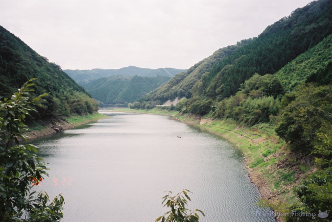 旭川ダム湖、中流エリアの全景写真。釣り場の写真