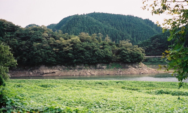 岡山県の旭川ダム湖、釣り場の写真