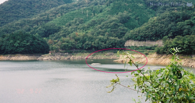 旭川ダムのバス釣り場写真、栃原周辺