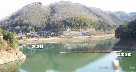 旭川ダム湖、小森ワンドの釣り場写真。