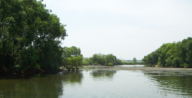 高梁川の釣り場写真