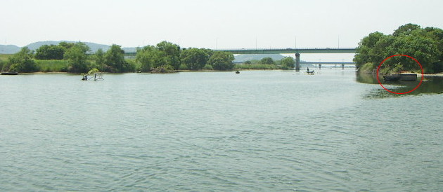 高梁川の釣り写真