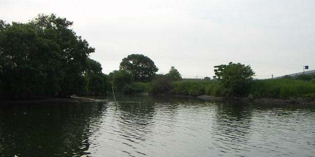 高梁川の釣り場案内