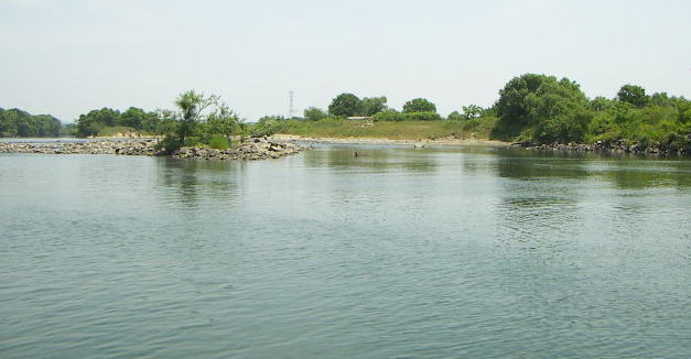 高梁川の釣りの写真