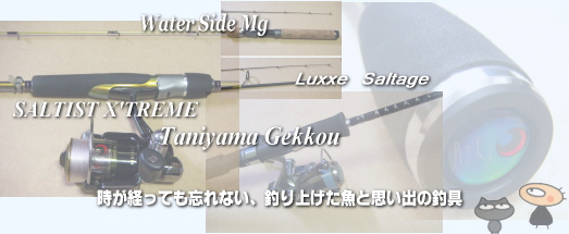 思い出のメバル専用ロッド!どれもたくさんのメバルをもたらしてくれた思い出のメバルロッドです。