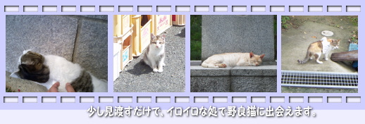 �����j�����ł����A�[�t�B�b�V���O�B�ނ��Ō��������ǔL�̎ʐ^